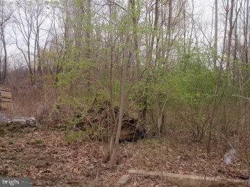 0 Ironmaster Road Lebanon, PA 17042 - Photo 1 of 1 Gallery Image 1