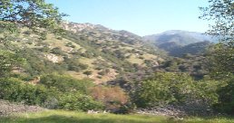 48925 South Fork Drive Three Rivers, CA 93271 - Photo 5 of 5 VIEWS OF MOUNTAINS