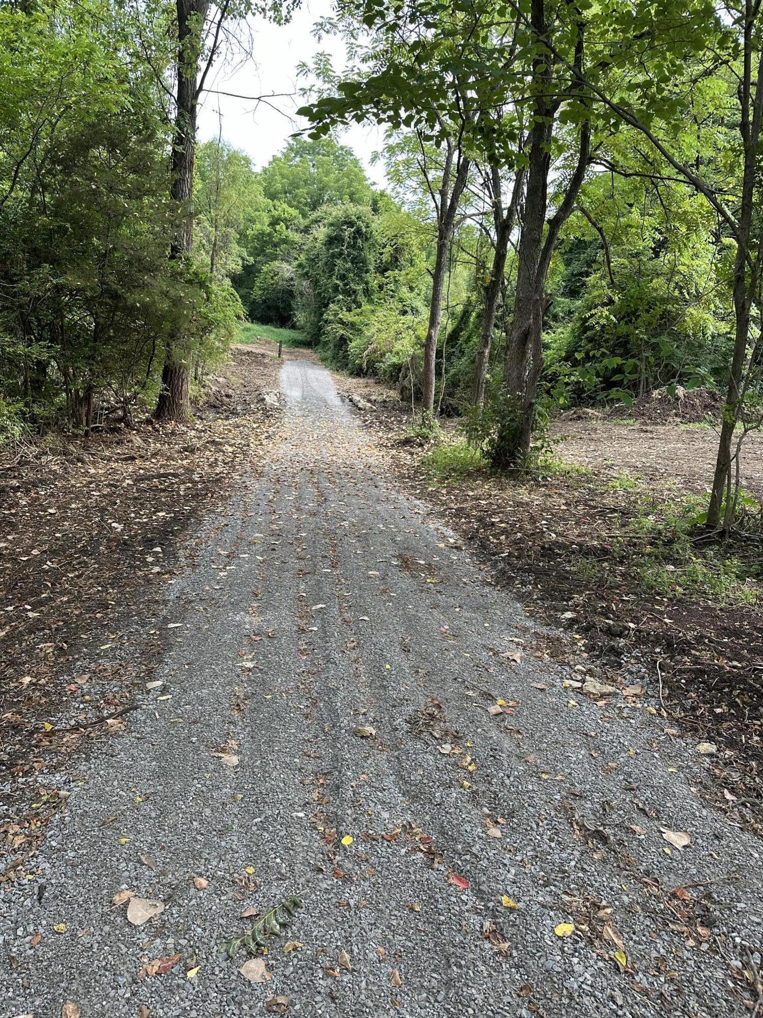 1340 Townsend Valley Road Paris, KY 40361 - Photo 1 of 2 cindy 2