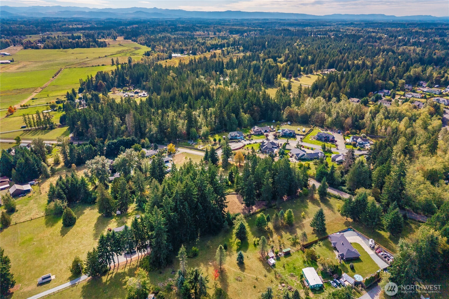 27601 Webster Road East Graham, WA 98338 - Photo 6 of 16 Gallery Image 6