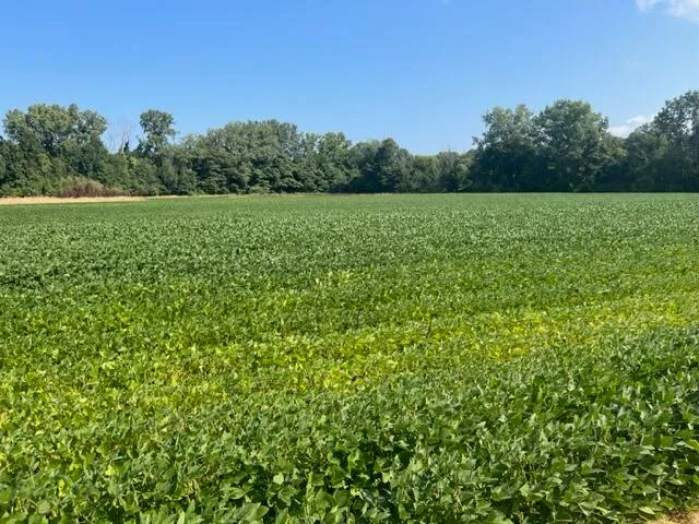 $549,000 | Wilson Road, Unit B, New Buffalo, MI 49117