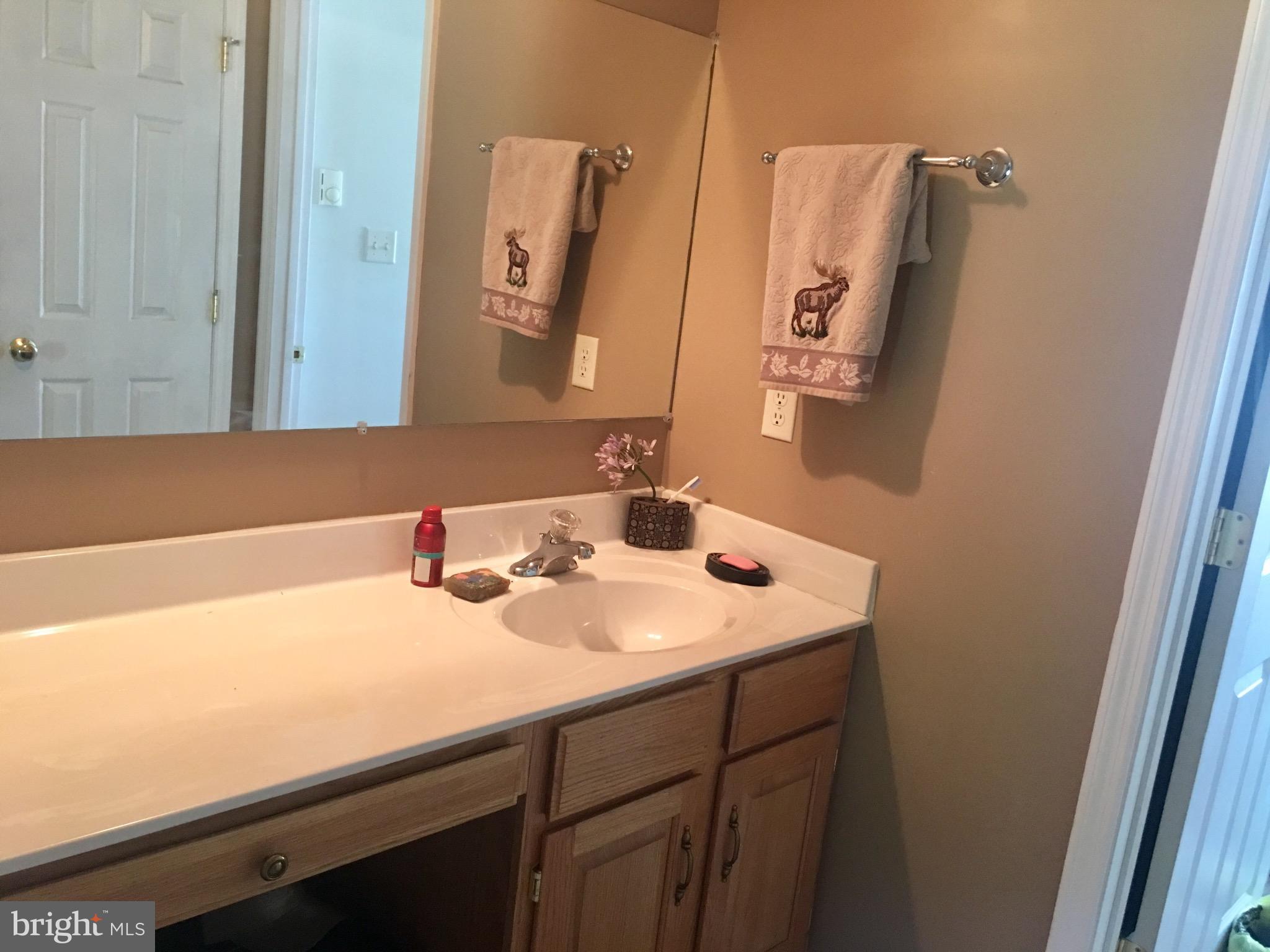 12408 Green Ridge Road Northeast Flintstone, MD 21530 - Photo 13 of 27 Bath (Master)