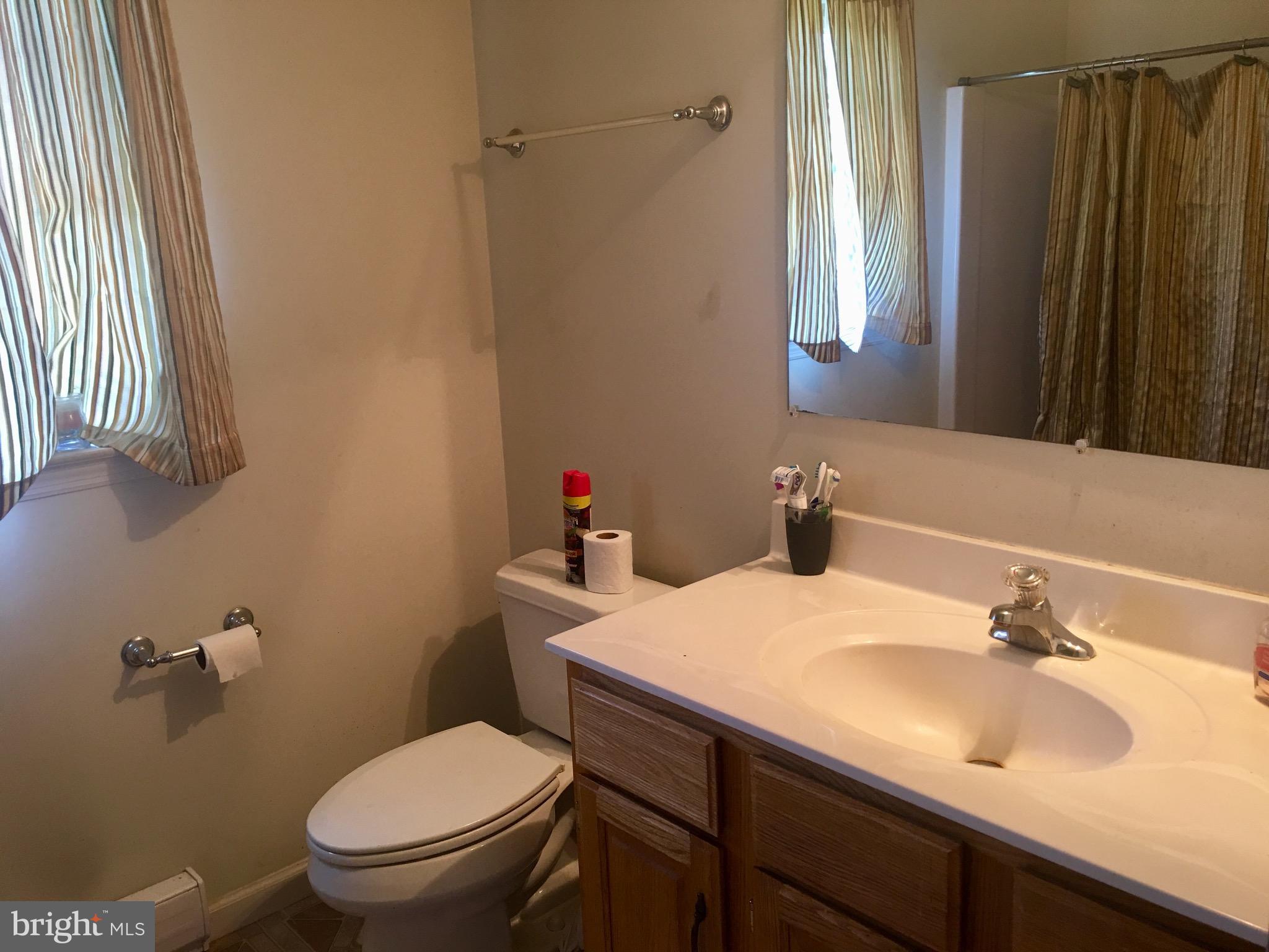12408 Green Ridge Road Northeast Flintstone, MD 21530 - Photo 10 of 27 Bath