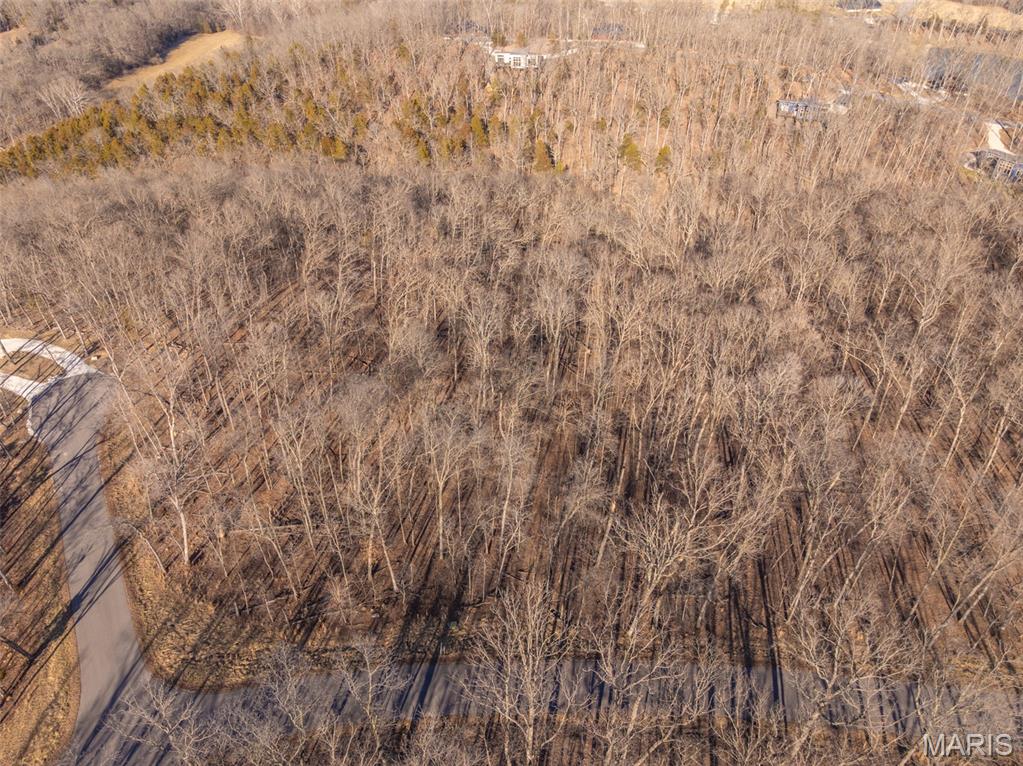 2835 Tyrolean Way Drive Innsbrook, MO 63390 - Photo 2 of 10