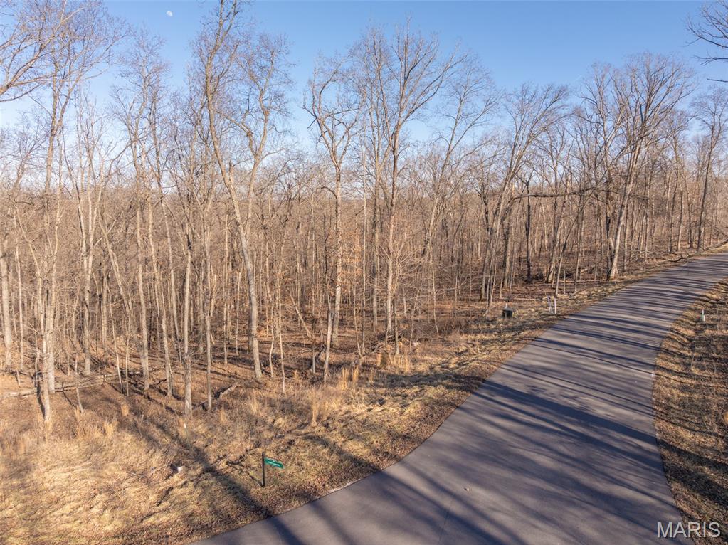2835 Tyrolean Way Drive Innsbrook, MO 63390 - Photo 7 of 10