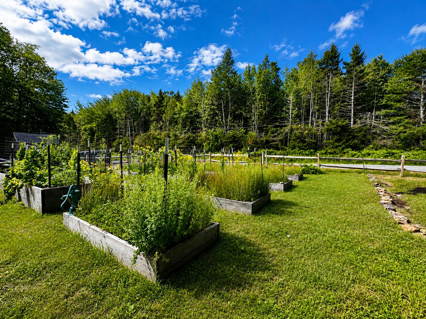 96 Dyer's Bay Road Steuben, ME 04680 - Photo 39 of 45 8