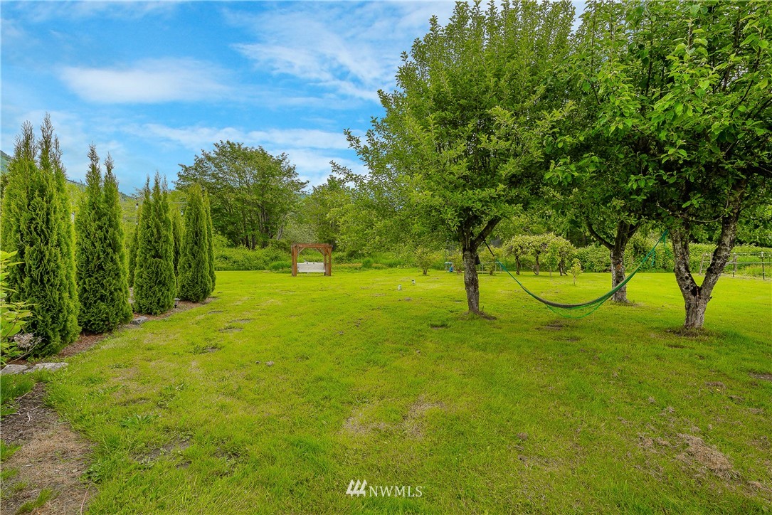 4165 Deming Road Everson, WA 98247 - Photo 23 of 31 a view of yard with trees