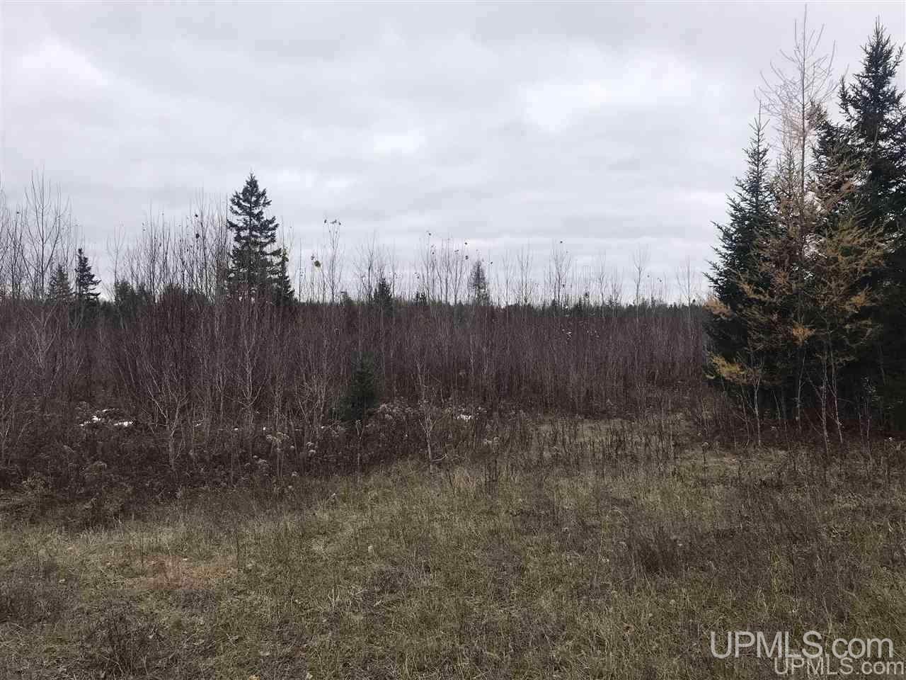 Tbd Murray Road, Unit 2 Perronville, MI 49873 - Photo 22 of 32