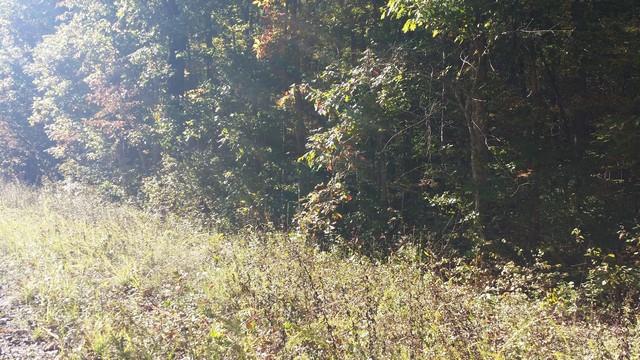 0 Deer Run Road Altamont, TN 37301 - Photo 12 of 22 Gallery Image 12