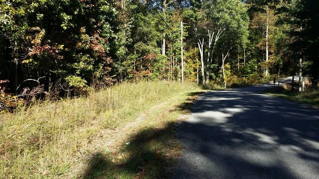 0 Deer Run Road Altamont, TN 37301 - Photo 17 of 22 Gallery Image 17