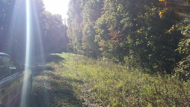 0 Deer Run Road Altamont, TN 37301 - Photo 18 of 22 Gallery Image 18