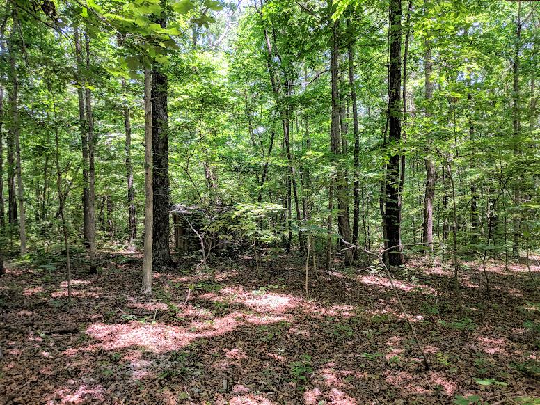 0 Deer Run Road Altamont, TN 37301 - Photo 3 of 22 Gallery Image 3