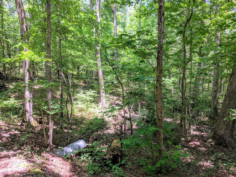 0 Deer Run Road Altamont, TN 37301 - Photo 8 of 22 Gallery Image 8