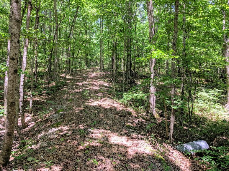 0 Deer Run Road Altamont, TN 37301 - Photo 10 of 22 Gallery Image 10