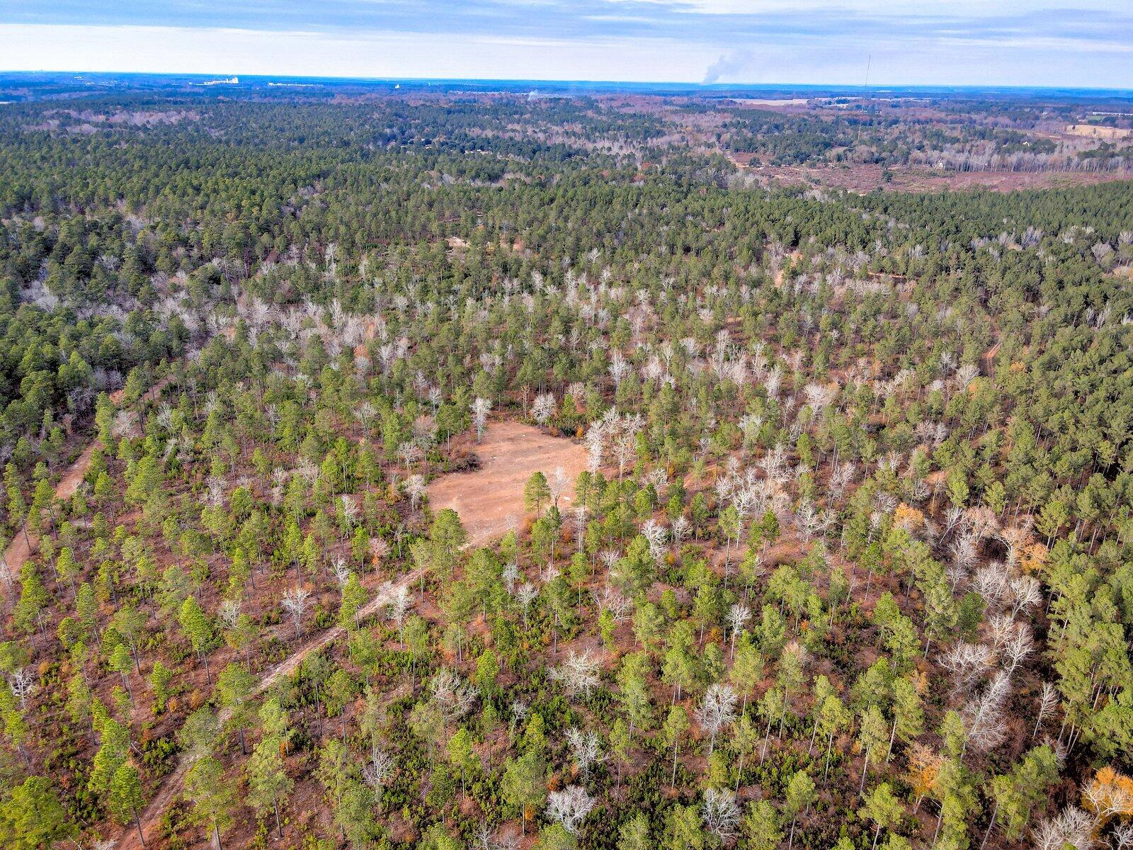 0 Deer Run Road, Unit B Williston, SC 29853 - Photo 4 of 19 Gallery Image 4