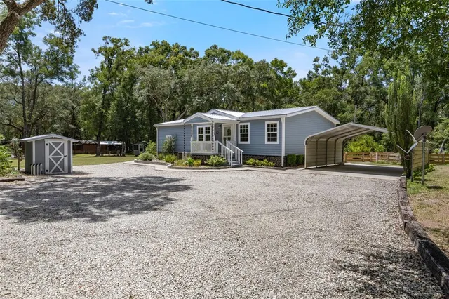a view of a yard with plants and trees