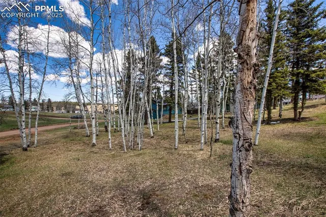 a view of a park with swings