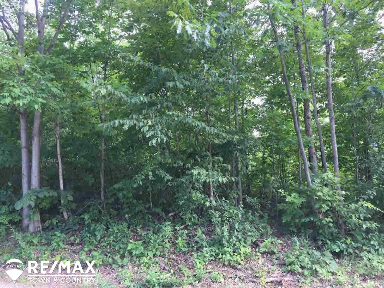 0 Stockwell Road Harrison, MI 48625 - Photo 3 of 8