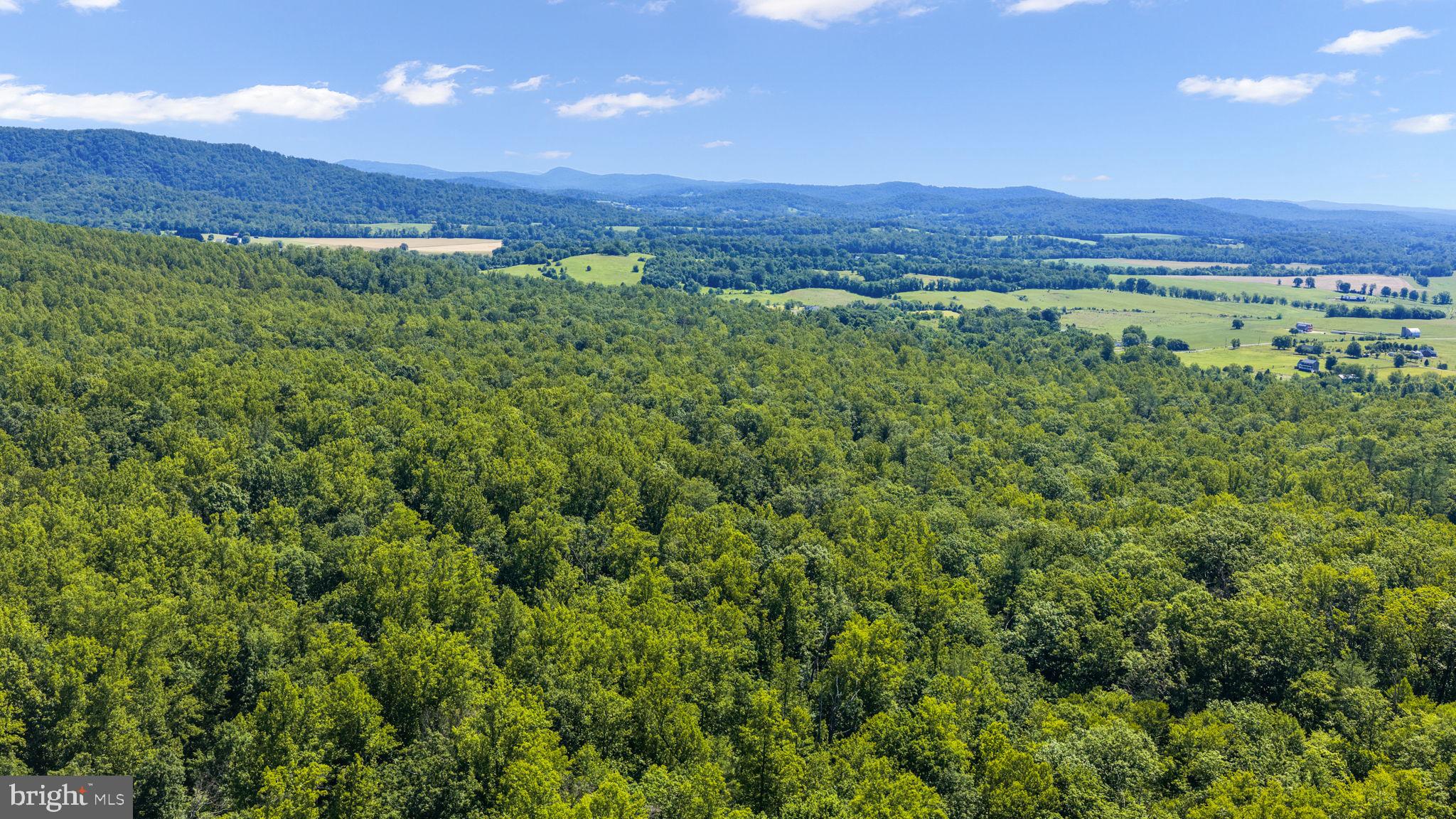 1319 Champe Plain Road Etlan, VA 22719 - Photo 57 of 63