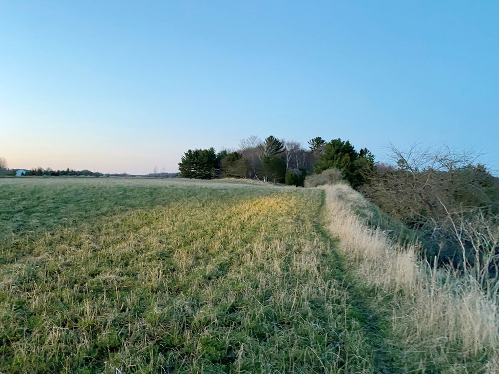 S Shiloh Road Algoma, WI 54201 - Photo 5 of 19