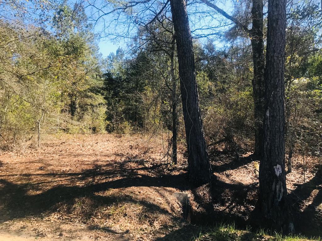 5.5-acres South Watford Road Slocomb, AL 36375 - Photo 1 of 3