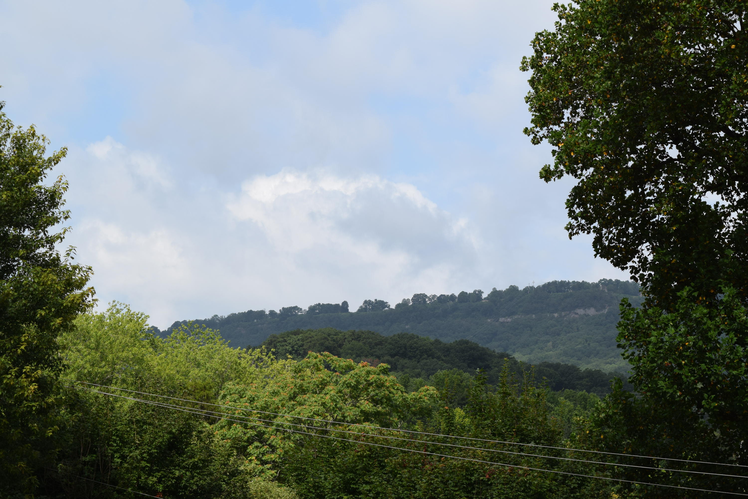 5604 Browntown Road Chattanooga, TN 37415 - Photo 3 of 30 DSC_0008