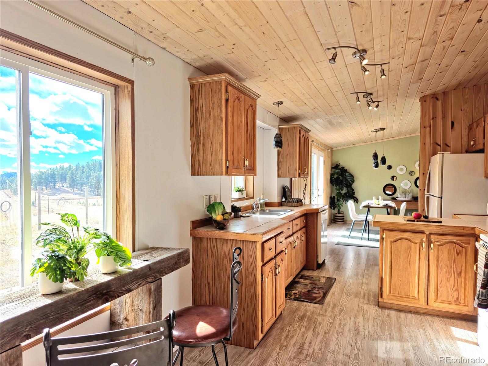 891 South Mountain Estates Road Florissant, CO 80816 - Photo 17 of 43 a kitchen with stainless steel appliances granite countertop a stove and cabinets