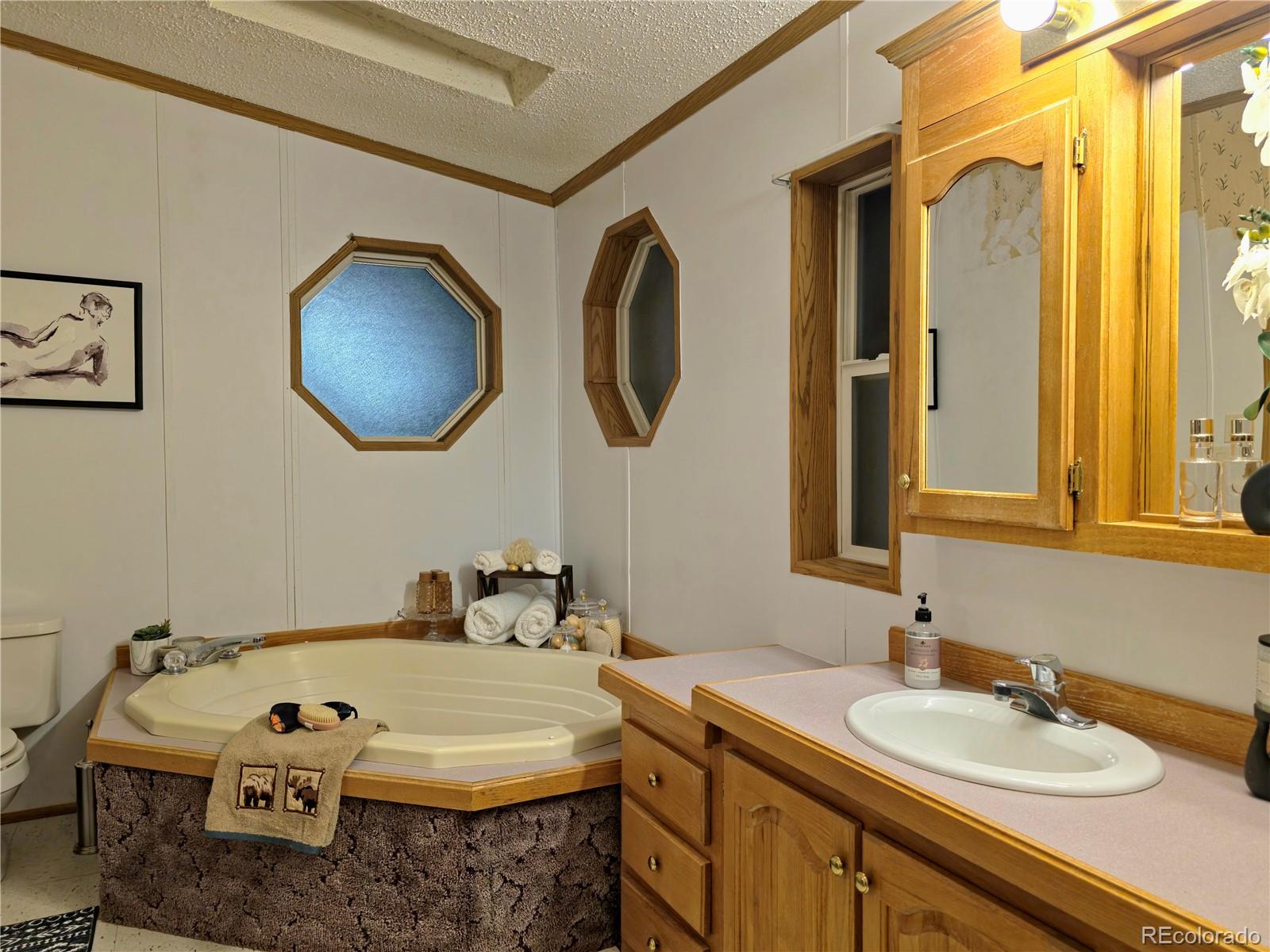 891 South Mountain Estates Road Florissant, CO 80816 - Photo 26 of 43 a bathroom with a sink and a mirror