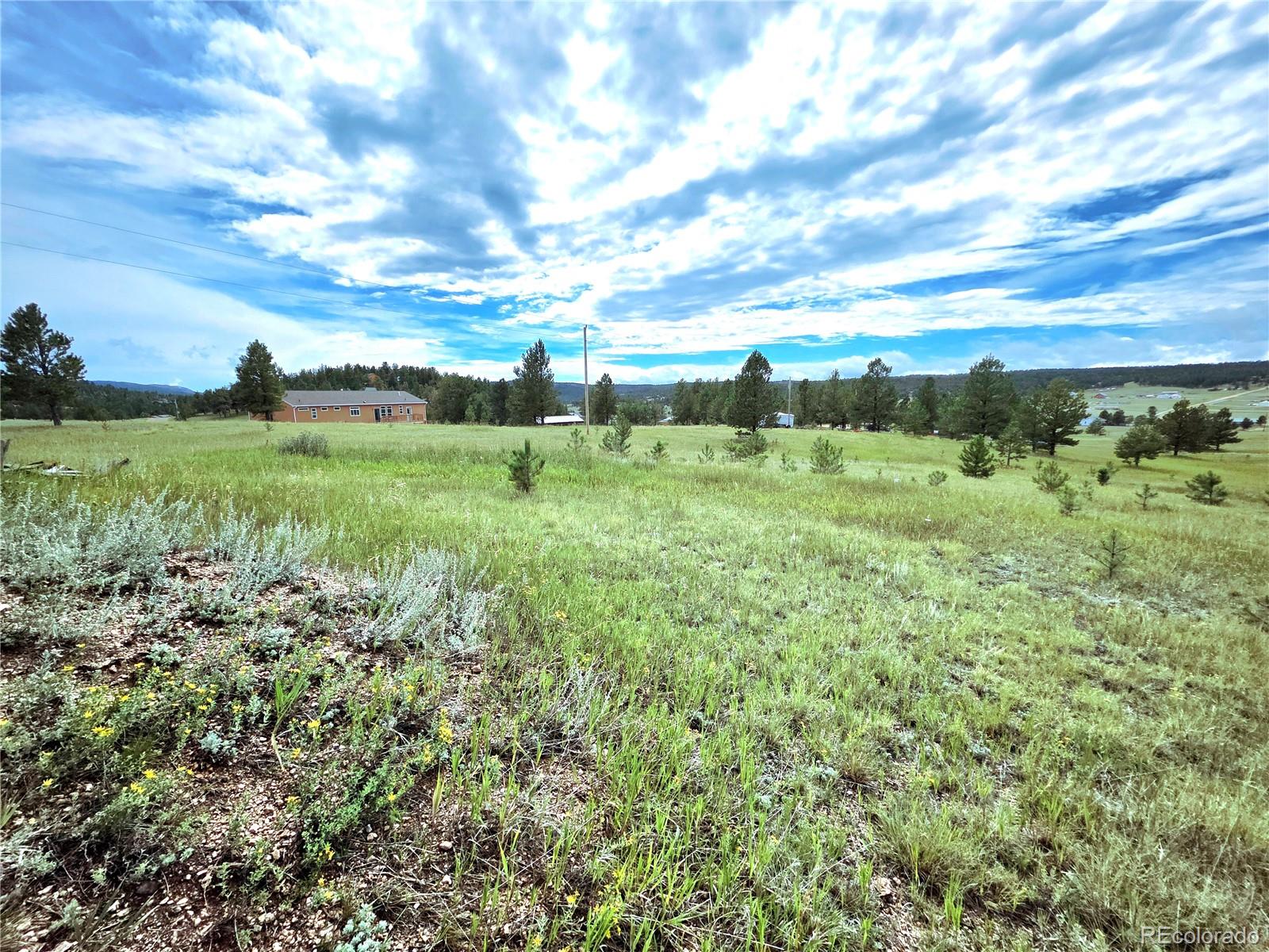 891 South Mountain Estates Road Florissant, CO 80816 - Photo 35 of 43 a view of a green field with lots of green space