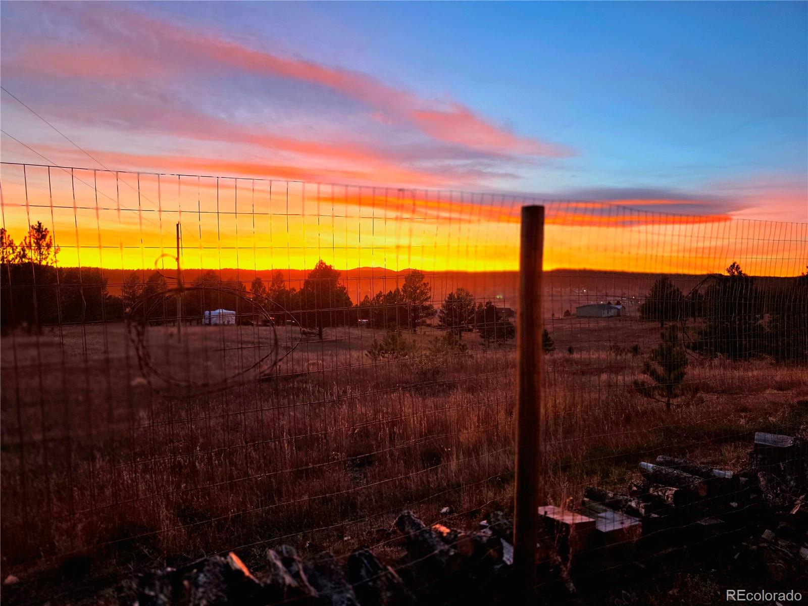 891 South Mountain Estates Road Florissant, CO 80816 - Photo 4 of 43