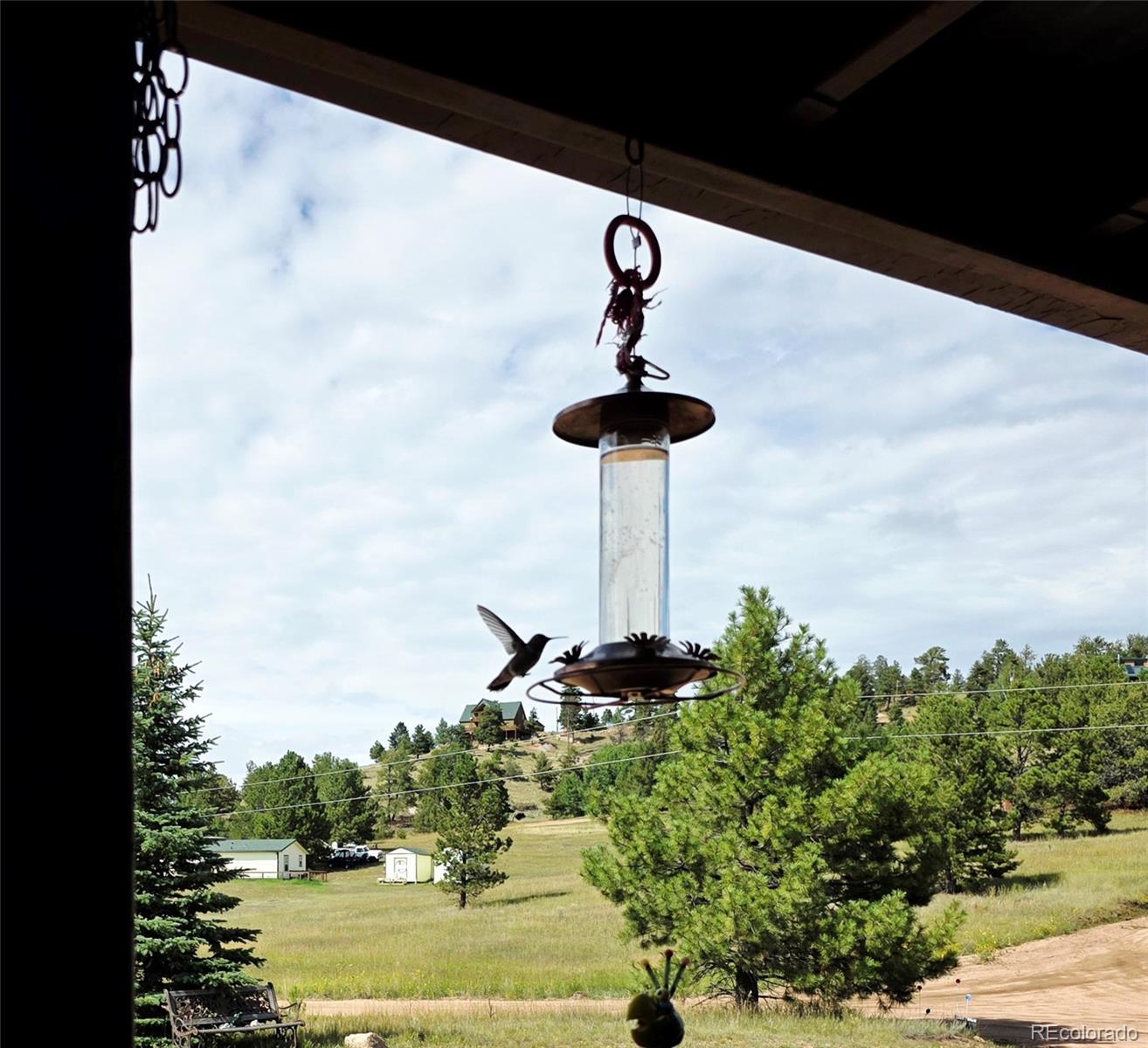 891 South Mountain Estates Road Florissant, CO 80816 - Photo 9 of 43 a front view of a building with garden