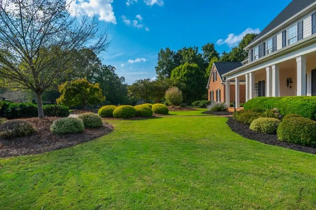 a view of a garden with lawn chairs