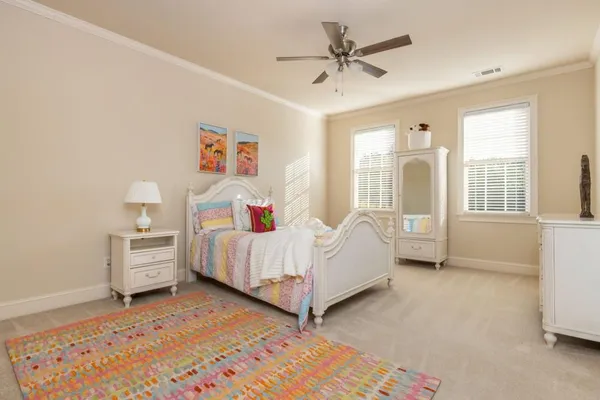 a view of a park with large trees