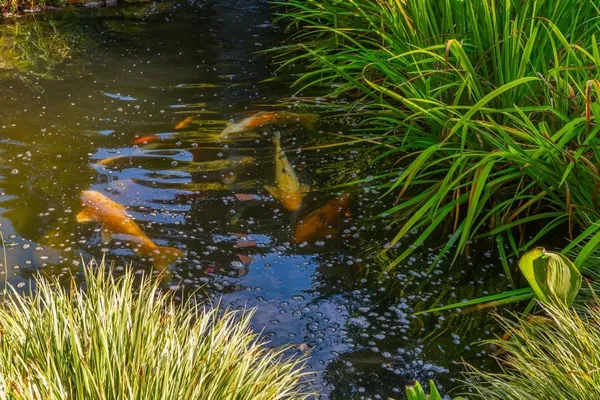 $1,450,000 | 220 Edwards Brook Court, Canton, GA 30115