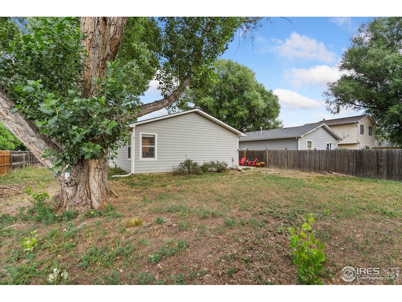 1255 Alameda Street Fort Collins, CO 80521 - Photo 20 of 22 Backyard