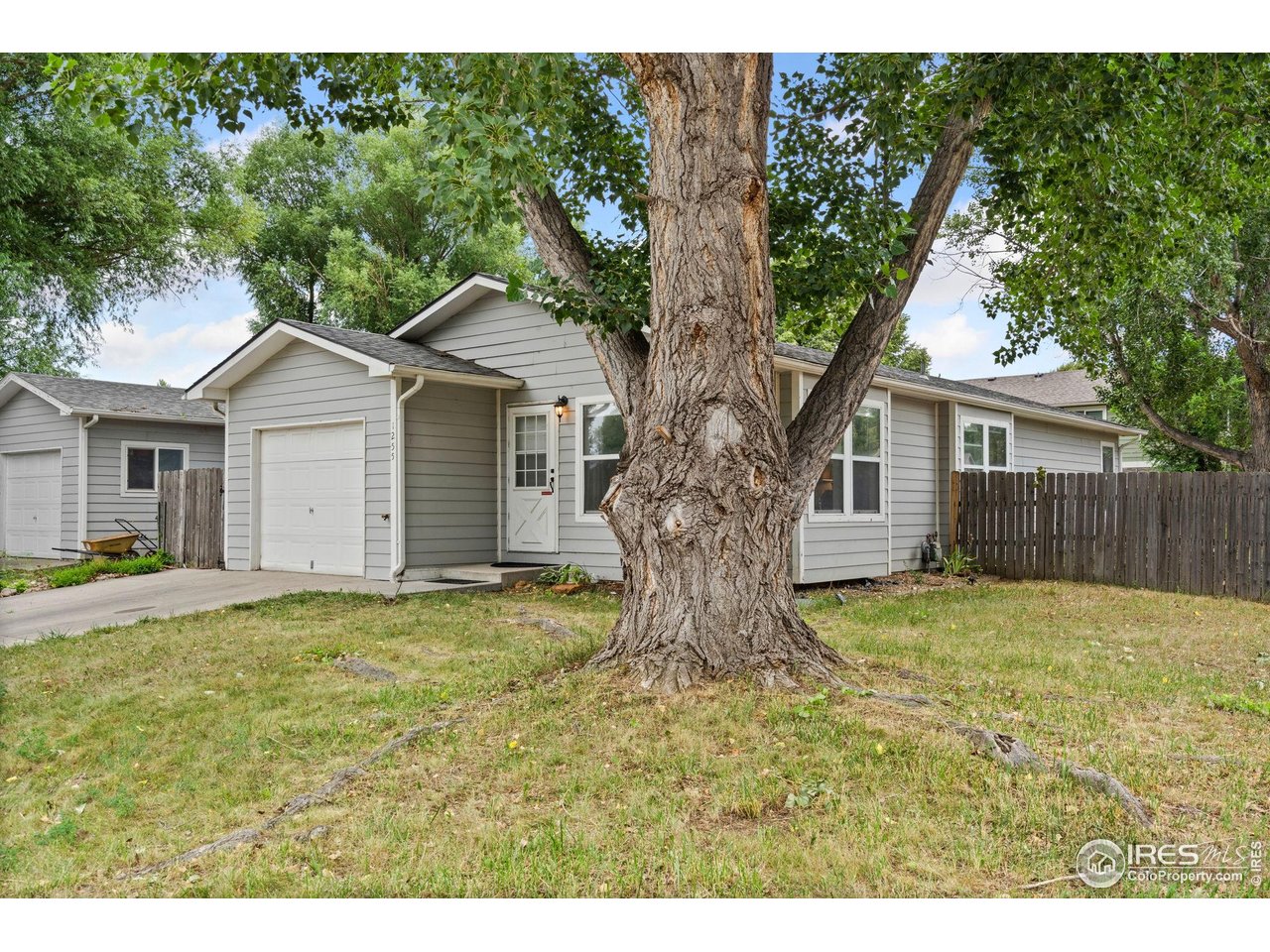 1255 Alameda Street Fort Collins, CO 80521 - Photo 2 of 22 Corner lot!