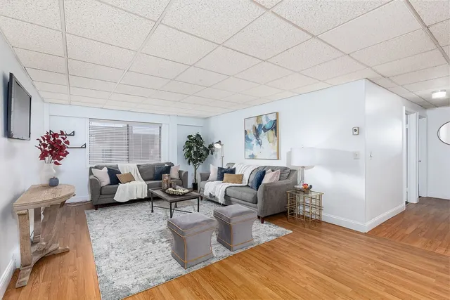 a living room with furniture and a potted plant