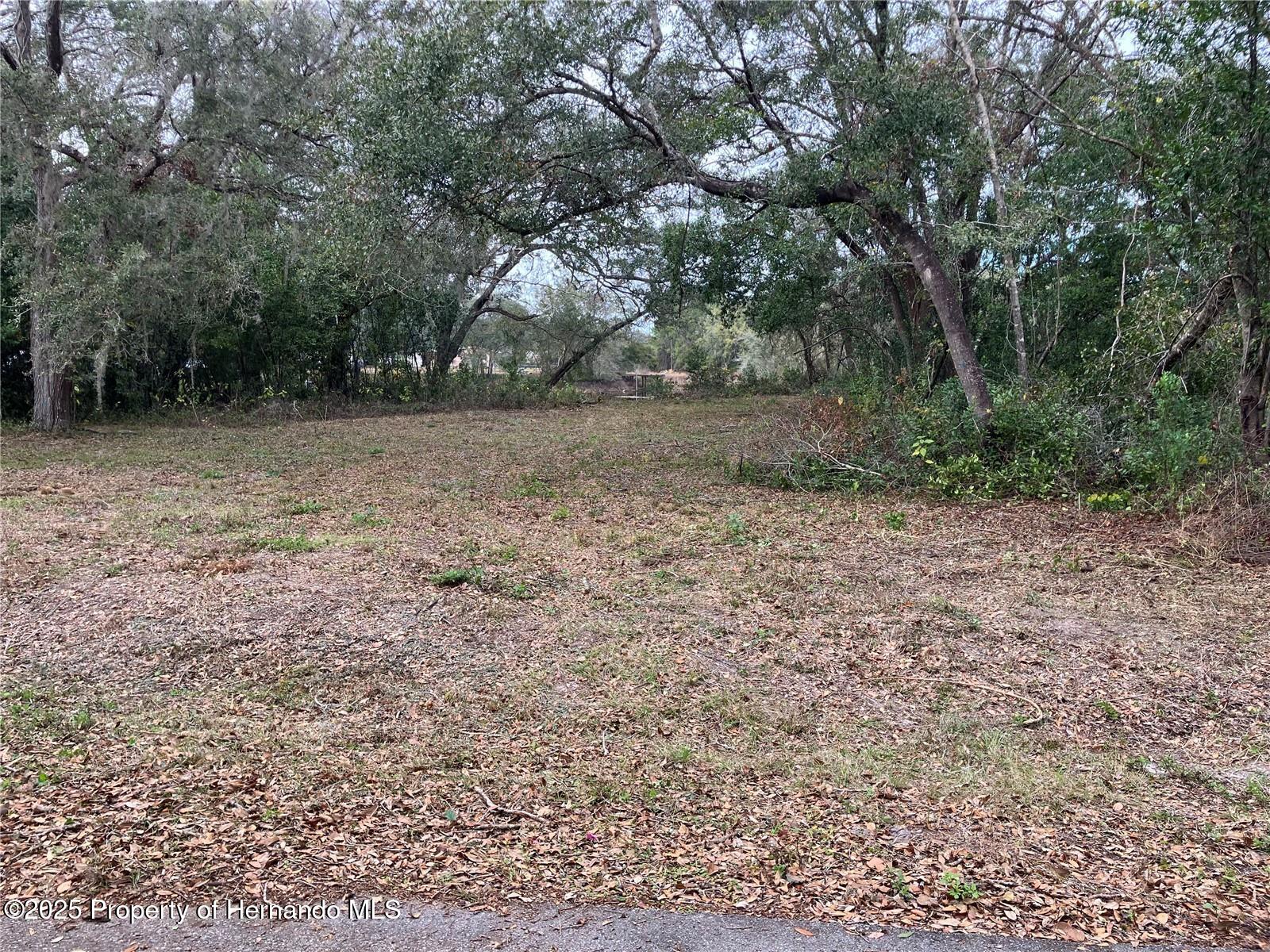 0 Alabama Road Spring Hill, FL 34610 - Photo 9 of 11