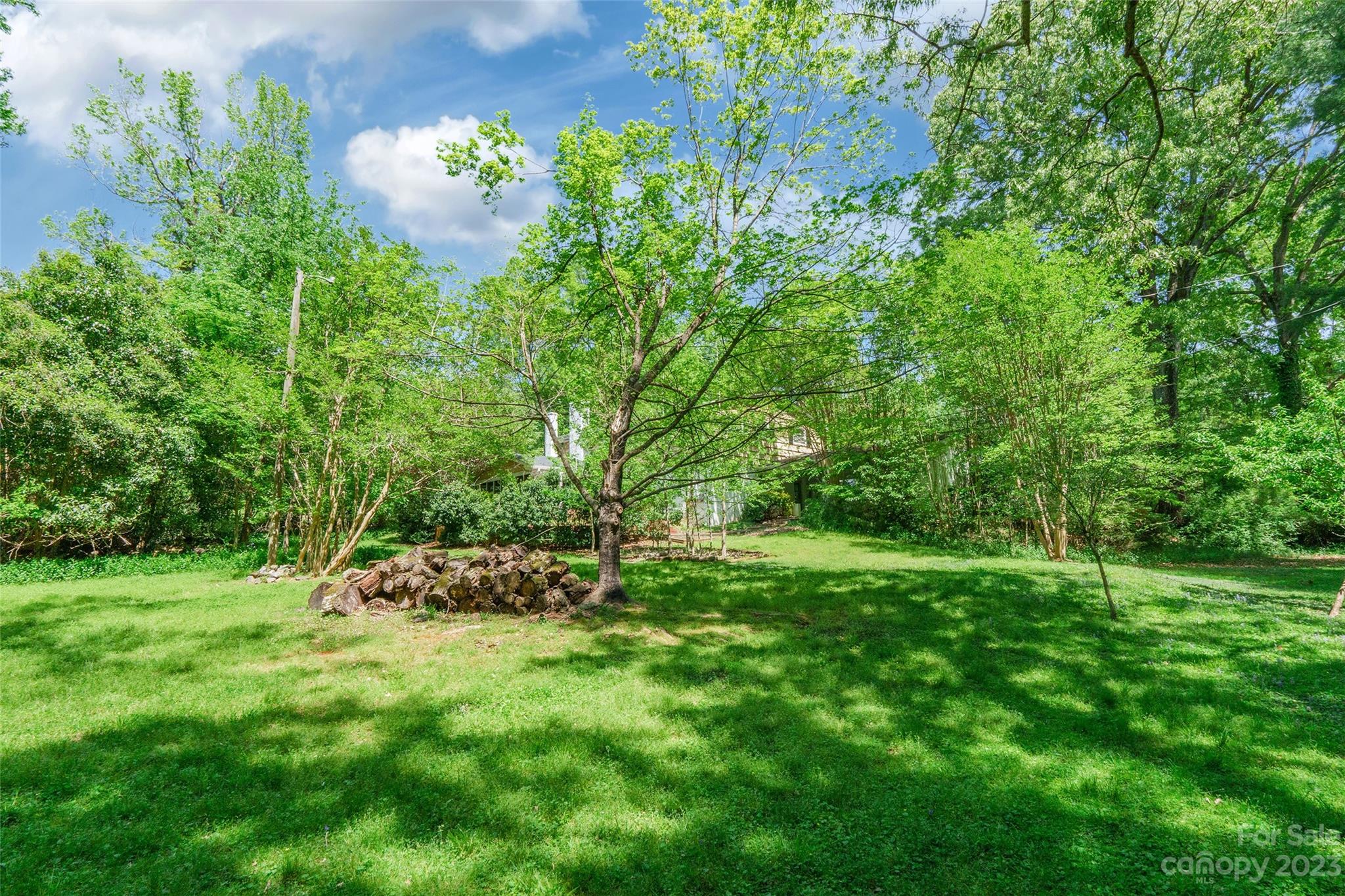 6916 Thermal Road Charlotte, NC 28211 - Photo 42 of 47 a view of a lush green space