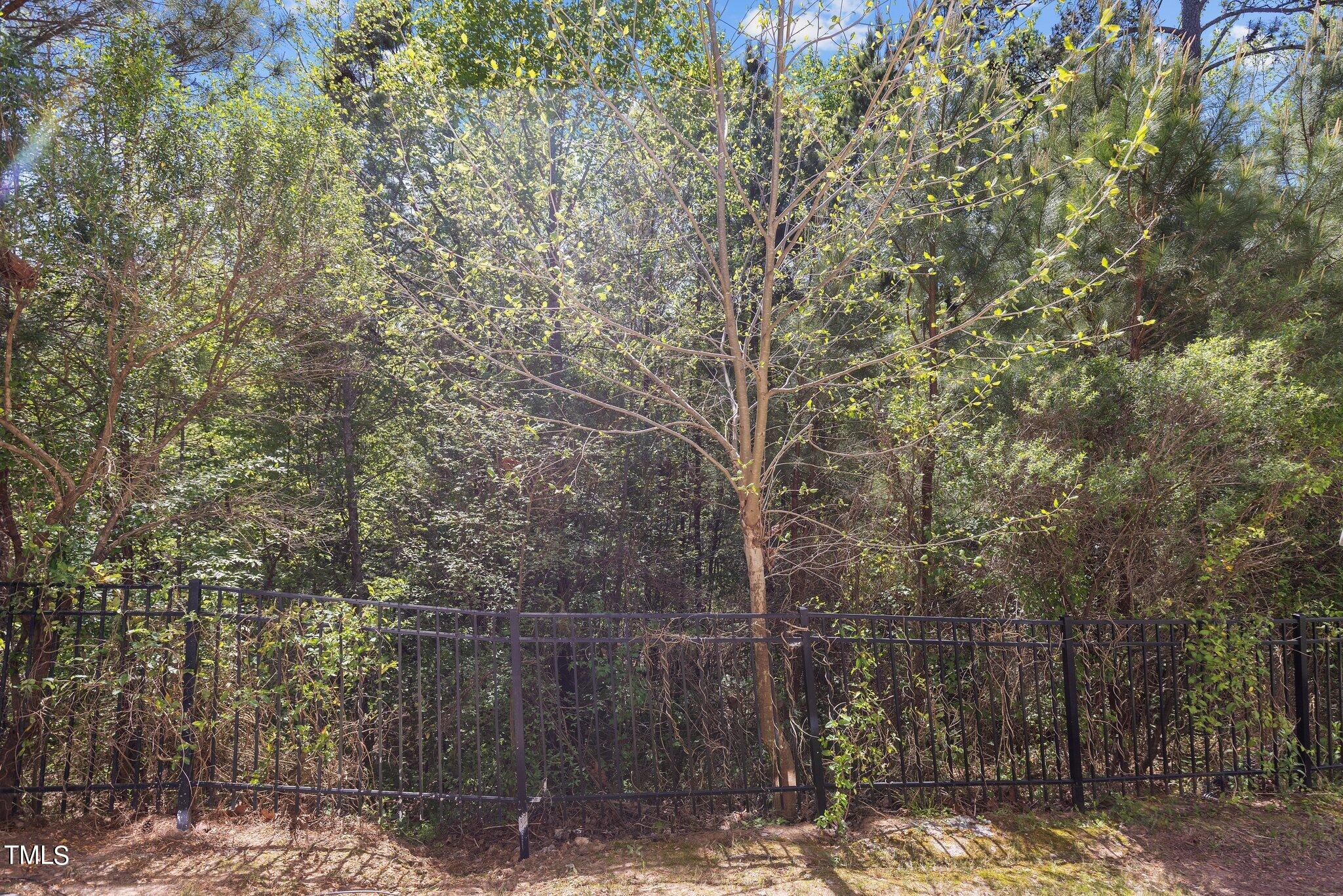 439 Panorama View Loop Cary, NC 27519 - Photo 23 of 42 a view of a forest with large trees