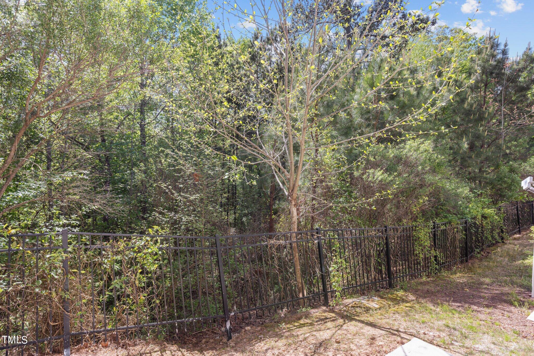 439 Panorama View Loop Cary, NC 27519 - Photo 24 of 42 a view of a forest with large trees