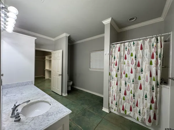 a bathroom with a granite countertop sink and a shower