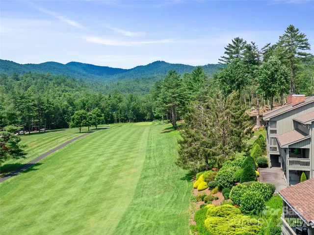 a view of a lush green field with mountains in the background