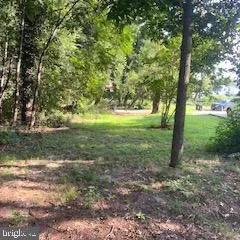 a view of outdoor space and trees