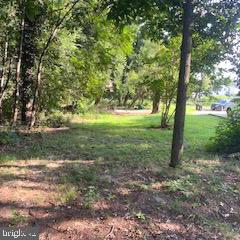 4004 Belnor Lane Suitland, MD 20746 - Photo 1 of 2 a view of outdoor space and trees