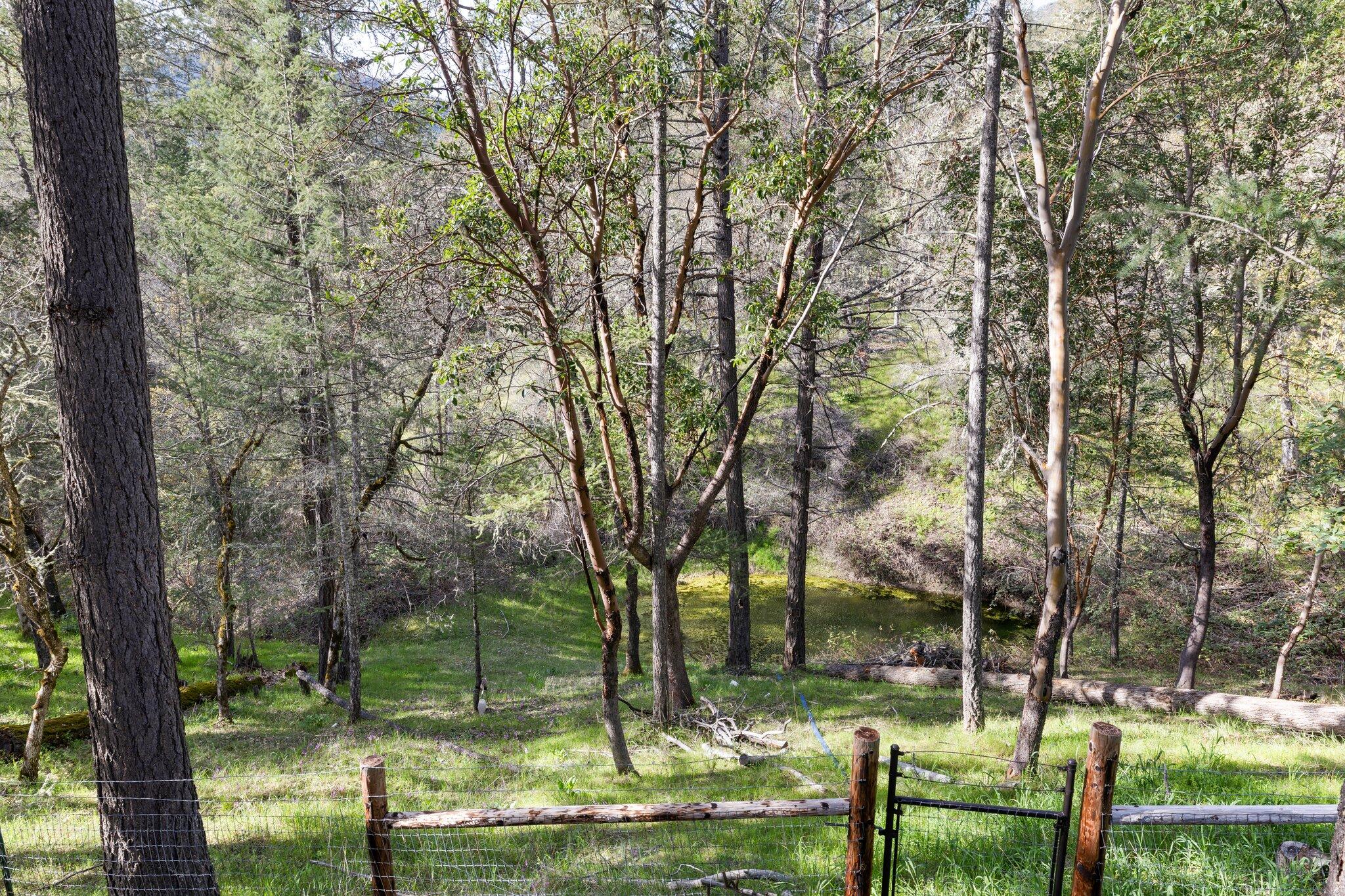 1360 China Gulch Road Jacksonville, OR 97530 - Photo 37 of 45 37