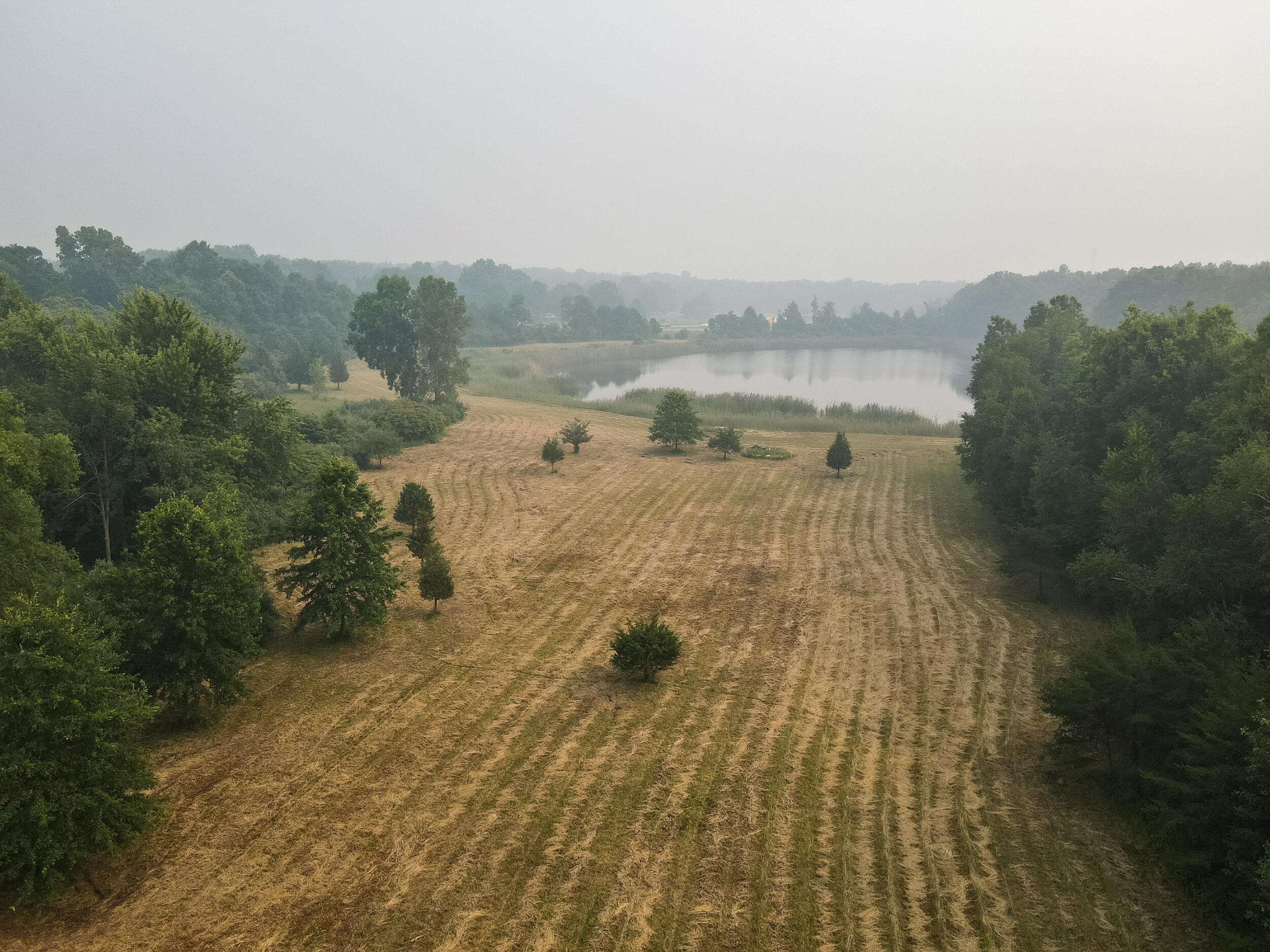 11930 Wilson Road New Buffalo, MI 49117 - Photo 1 of 10 DJI_0914