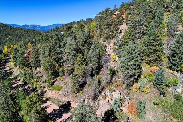 a view of a city with lush green forest