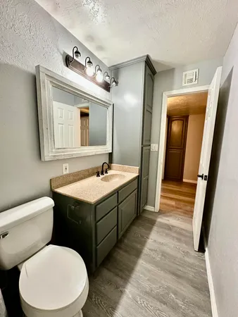 a bathroom with a toilet sink and mirror