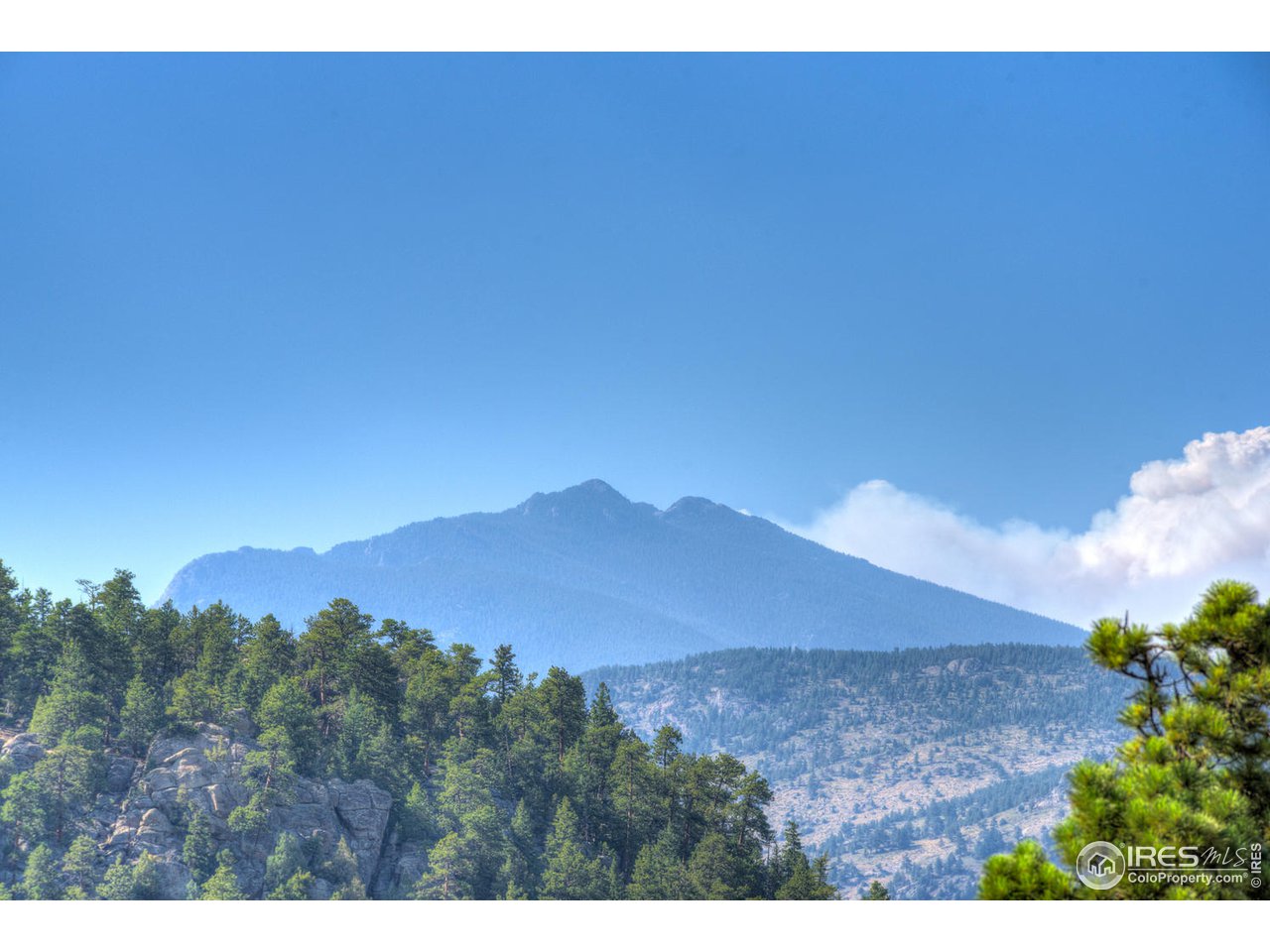 900 Spruce Drive Lyons, CO 80540 - Photo 35 of 40 a view of a large tree with a mountain in the background